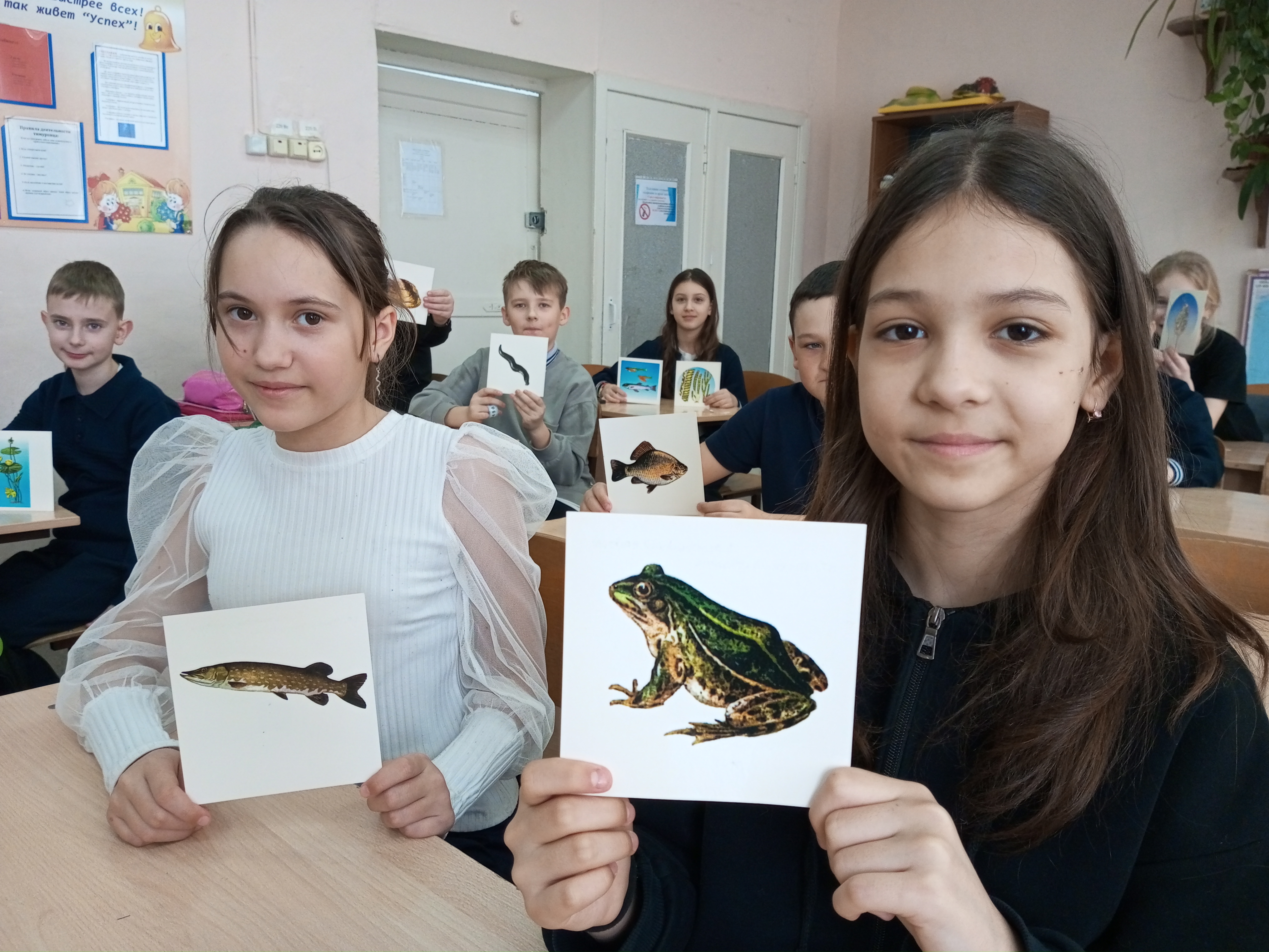 Урок экологической грамотности &amp;quot;Живая Волга&amp;quot;.